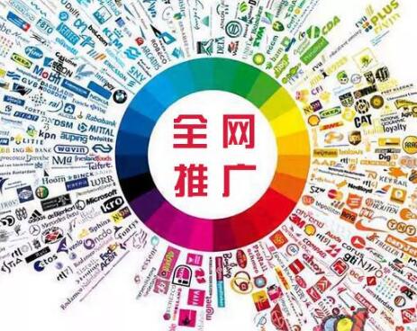 为什么企业要选择专业网络营销公司做全网推广